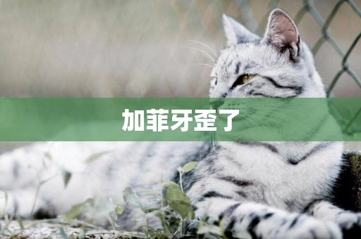 加菲牙歪了