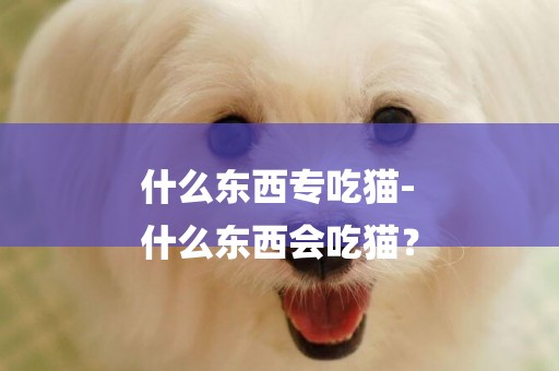 什么東西專吃貓-
什么東西會吃貓？