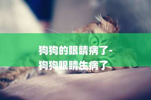 狗狗的眼睛病了-
狗狗眼睛生病了