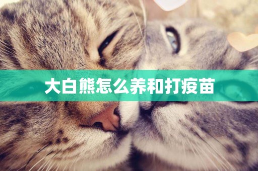 大白熊怎么養和打疫苗
