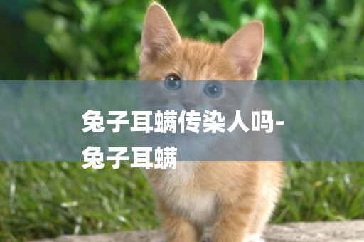 兔子耳螨傳染人嗎-
兔子耳螨
