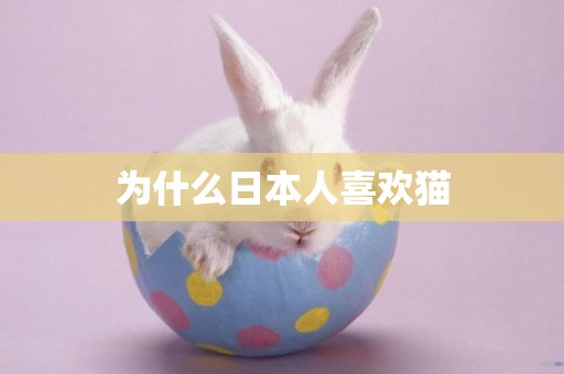 為什么日本人喜歡貓