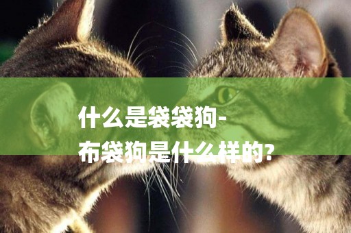 什么是袋袋狗-
布袋狗是什么樣的?
