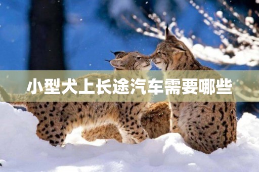 小型犬上長途汽車需要哪些