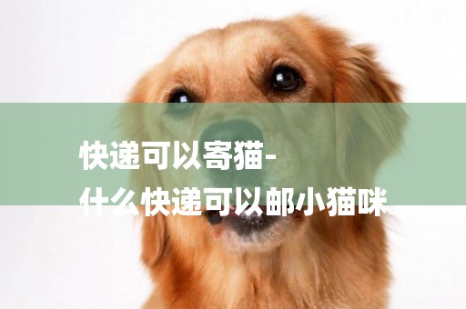 快遞可以寄貓-
什么快遞可以郵小貓咪