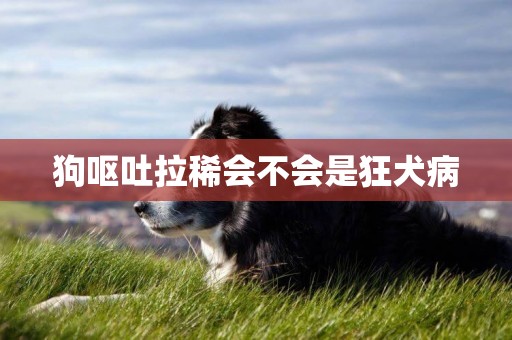 狗嘔吐拉稀會不會是狂犬病