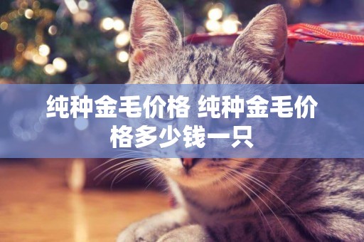 純種金毛價格 純種金毛價格多少錢一只