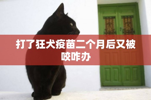 打了狂犬疫苗二個月后又被咬咋辦