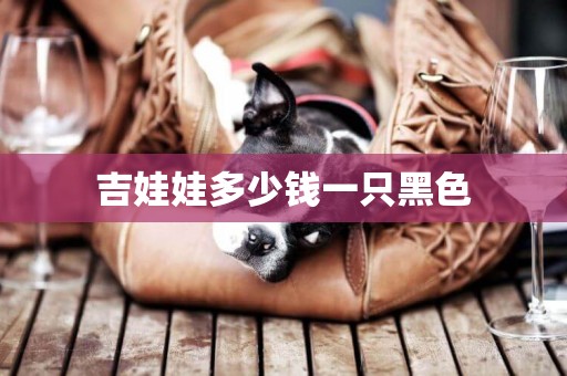 吉娃娃多少錢一只黑色