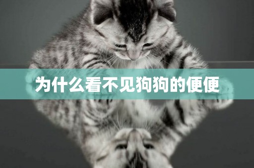 為什么看不見狗狗的便便