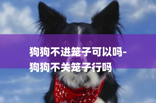 狗狗不進籠子可以嗎-
狗狗不關籠子行嗎