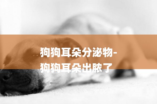 狗狗耳朵分泌物-
狗狗耳朵出膿了