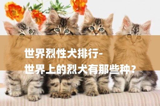 世界烈性犬排行-
世界上的烈犬有那些種？