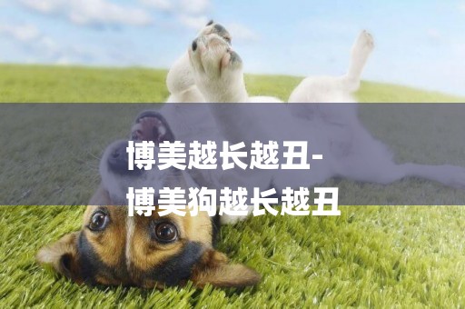 博美越長越丑-
博美狗越長越丑