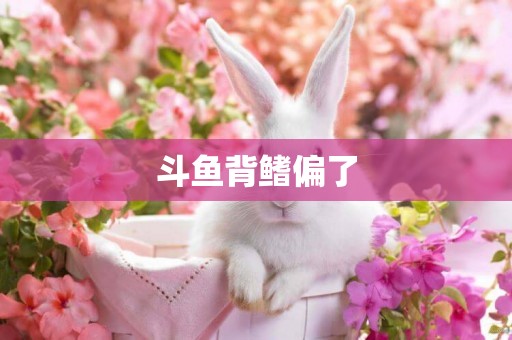 斗魚背鰭偏了