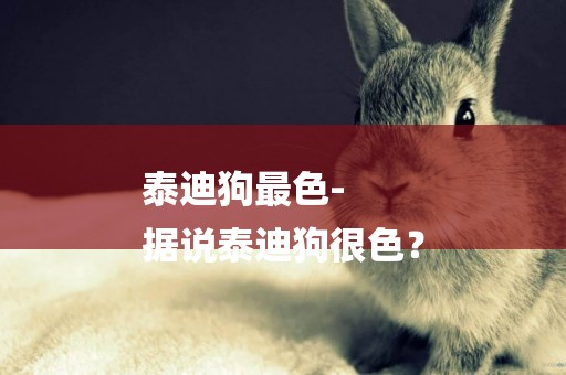 泰迪狗最色-
據說泰迪狗很色？