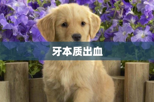 牙本質出血
