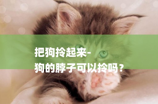把狗拎起來-
狗的脖子可以拎嗎？