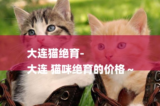 大連貓絕育-
大連 貓咪絕育的價格～