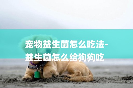 寵物益生菌怎么吃法-
益生菌怎么給狗狗吃