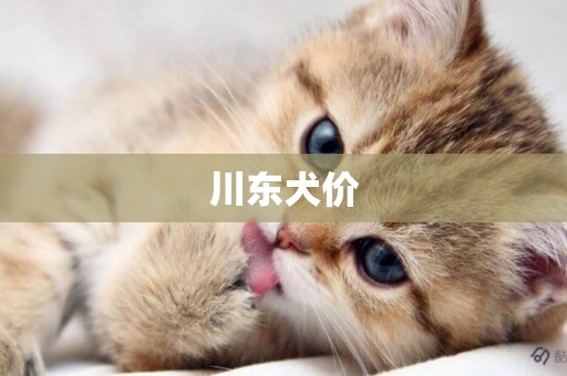 川東犬價