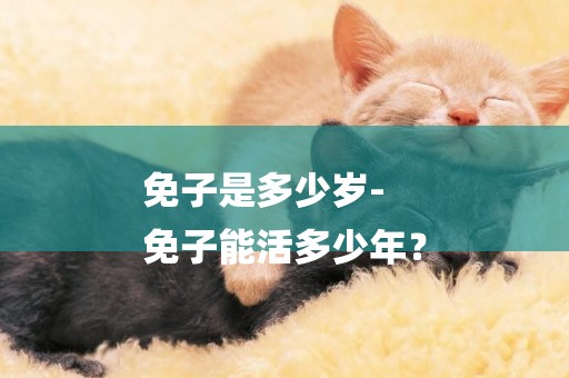免子是多少歲-
免子能活多少年？