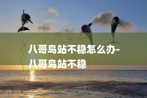 八哥鳥站不穩怎么辦-
八哥鳥站不穩