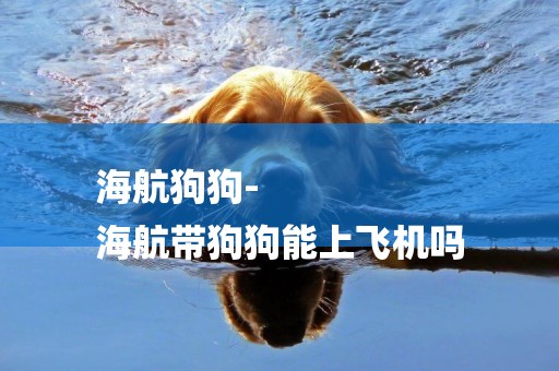 海航狗狗-
海航帶狗狗能上飛機嗎