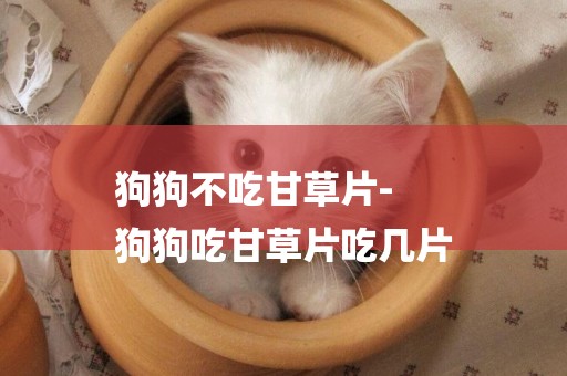 狗狗不吃甘草片-
狗狗吃甘草片吃幾片