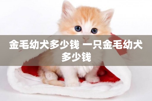 金毛幼犬多少錢 一只金毛幼犬多少錢