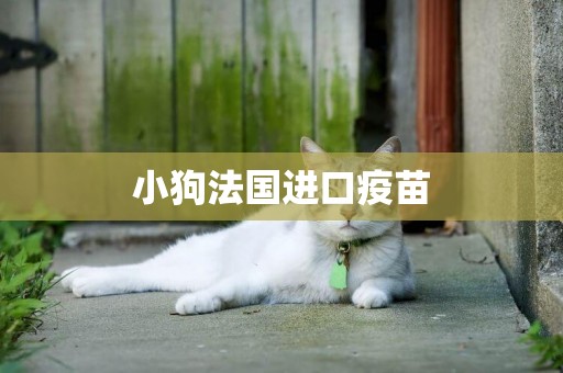 小狗法國進口疫苗