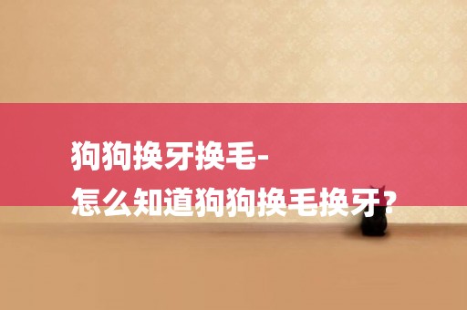 狗狗換牙換毛-
怎么知道狗狗換毛換牙？