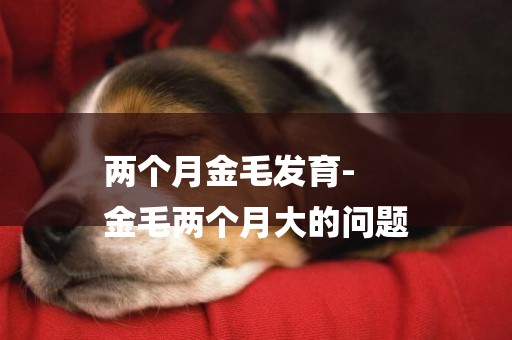 兩個月金毛發育-
金毛兩個月大的問題