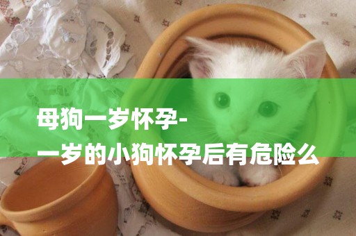 母狗一歲懷孕-
一歲的小狗懷孕后有危險么