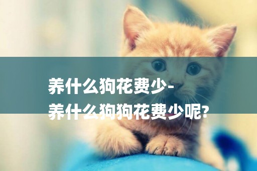 養什么狗花費少-
養什么狗狗花費少呢?