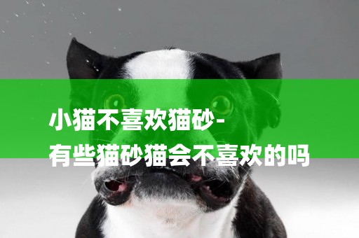 小貓不喜歡貓砂-
有些貓砂貓會不喜歡的嗎