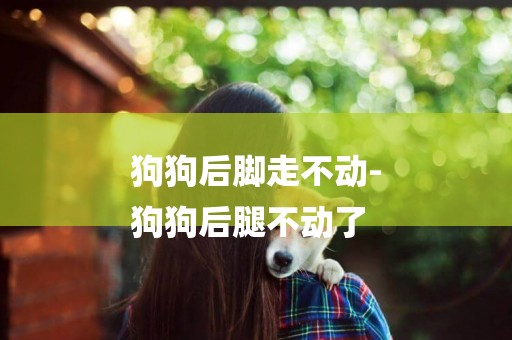 狗狗后腳走不動-
狗狗后腿不動了