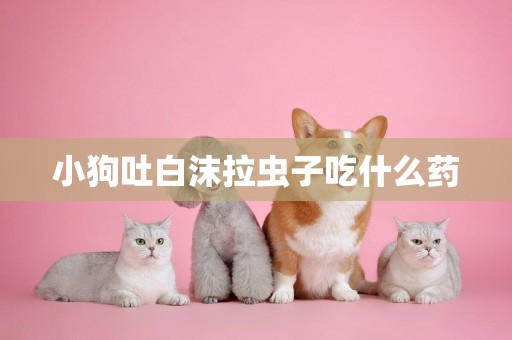 小狗吐白沫拉蟲子吃什么藥