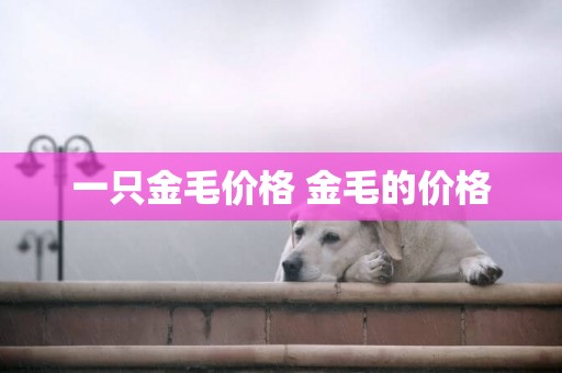 一只金毛價格 金毛的價格