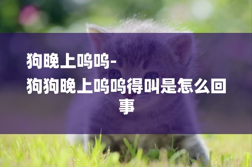 狗晚上嗚嗚-
狗狗晚上嗚嗚得叫是怎么回事