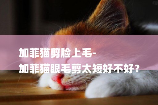 加菲貓剪臉上毛-
加菲貓眼毛剪太短好不好？