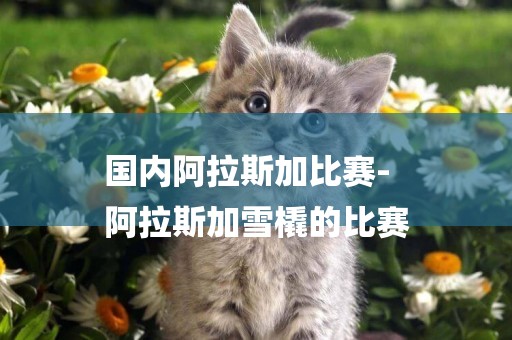 國內阿拉斯加比賽-
阿拉斯加雪橇的比賽