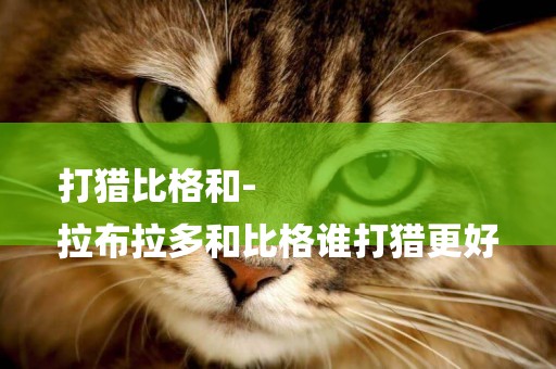 打獵比格和-
拉布拉多和比格誰打獵更好