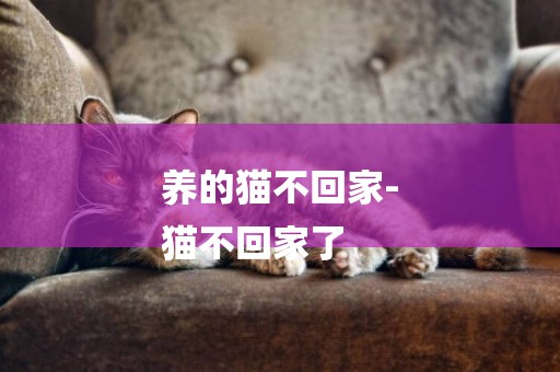 養的貓不回家-
貓不回家了