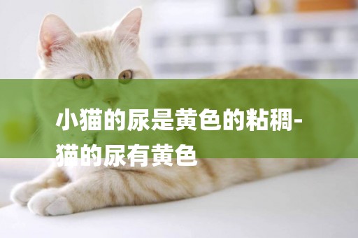 小貓的尿是黃色的粘稠-
貓的尿有黃色