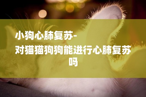小狗心肺復蘇-
對貓貓狗狗能進行心肺復蘇嗎