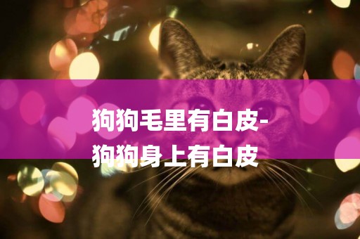 狗狗毛里有白皮-
狗狗身上有白皮