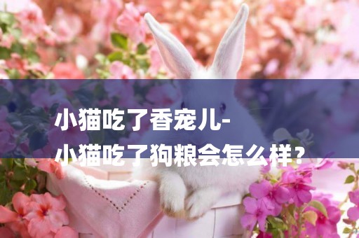 小貓吃了香寵兒-
小貓吃了狗糧會怎么樣？