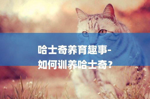 哈士奇養育趣事-
如何訓養哈士奇？