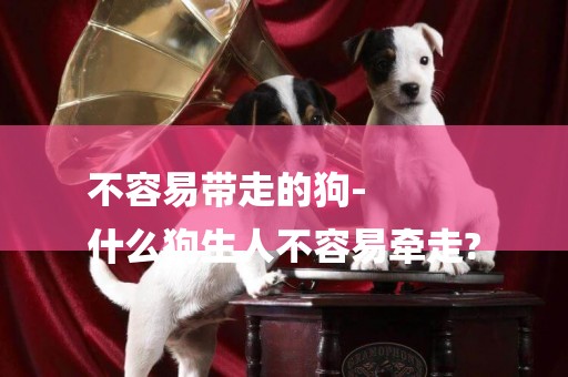 不容易帶走的狗-
什么狗生人不容易牽走?